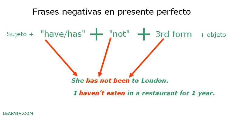 Estructura de la oración negativa inglesa en presente perfecto